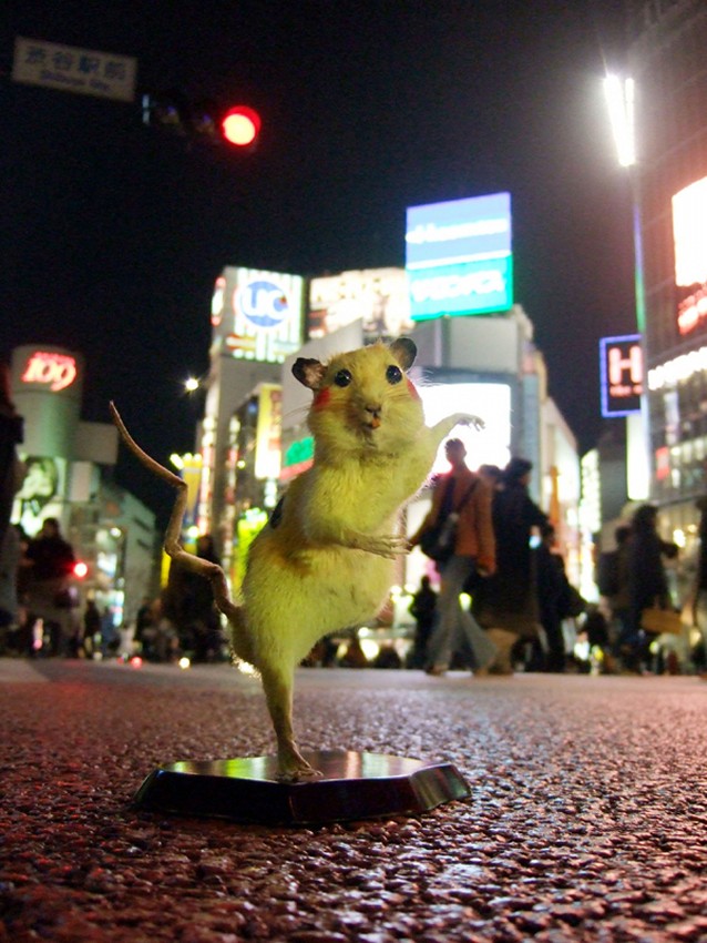 Numai in Japonia. Şobolanii morţi sunt îmbrăcaţi ca Pikachu